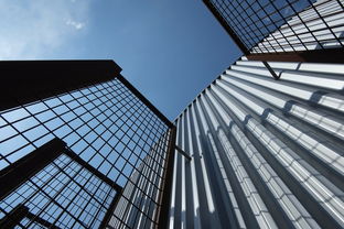 新闻头条20条，洞察世界脉搏的窗口