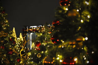 探索世界的味道，旅游美食图片素材库大全