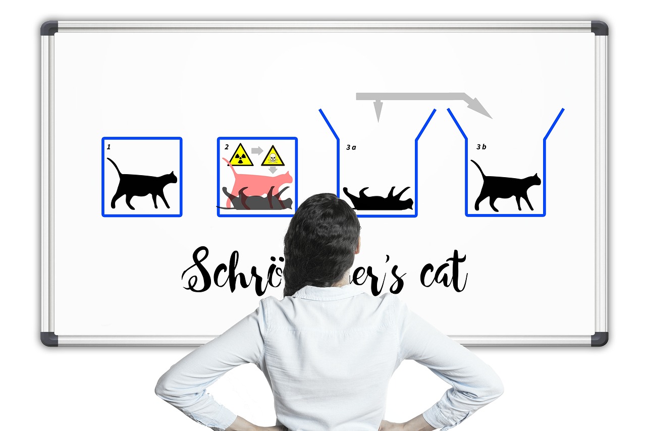 薛定谔的猫，量子力学的悖论与哲学的边界