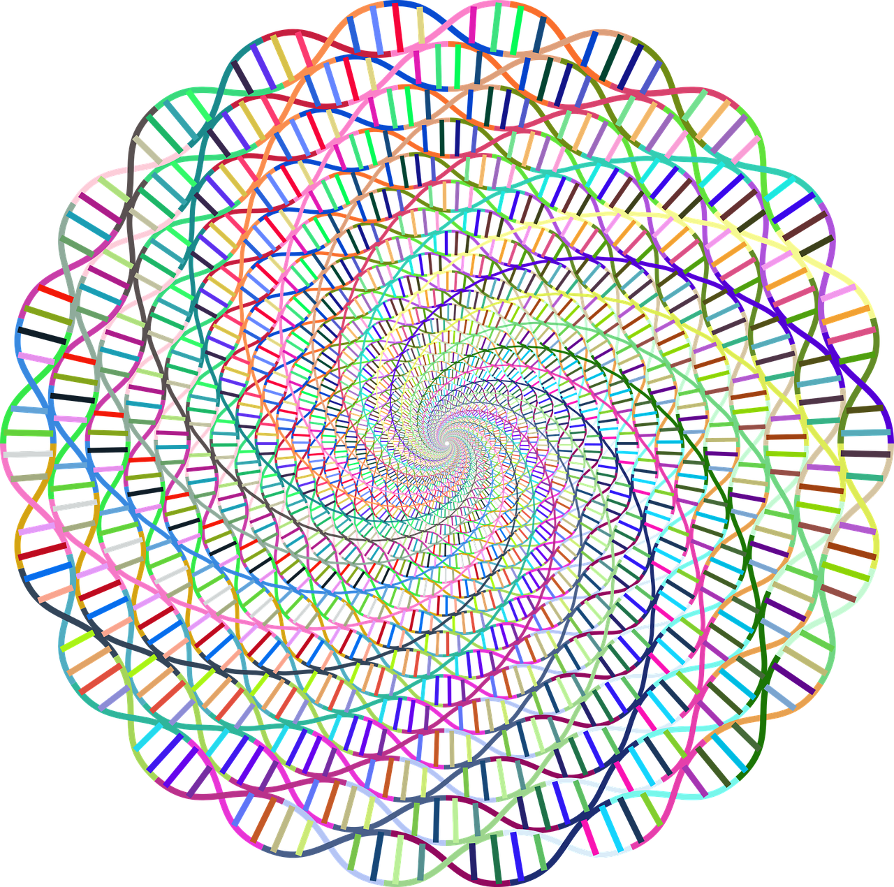 探索医学迷宫，临床研究的多彩画卷