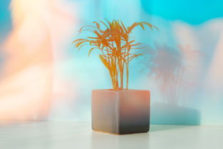 今日热点新闻，洞悉世界脉搏，把握生活脉搏