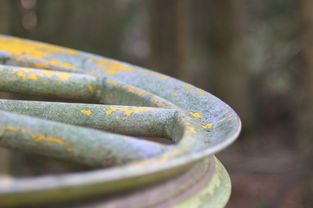 今日热点，人民日报官网聚焦社会动态，深度解读时代脉搏