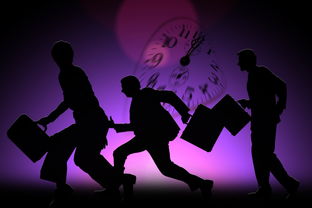 世纪佳缘交友，在数字时代寻找真爱的艺术