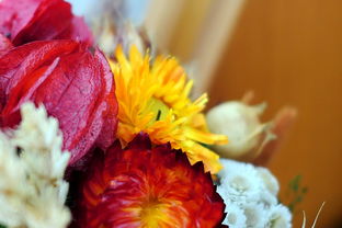 晒美食的艺术，如何用语句让味蕾跃然纸上