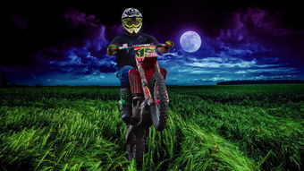 神庙逃亡2，速度与激情的数字冒险