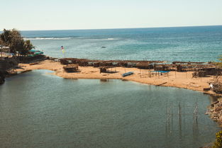 性感海滩2，夏日风情与文化探索之旅