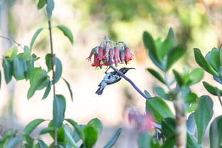海南今日新闻头条，探索热带天堂的最新动态