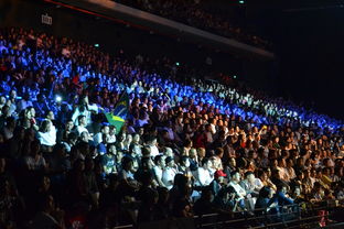 星光璀璨，揭秘娱乐新闻资讯播报的魅力与影响