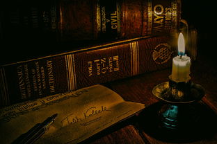 探索大文学小说网，文学爱好者的宝藏