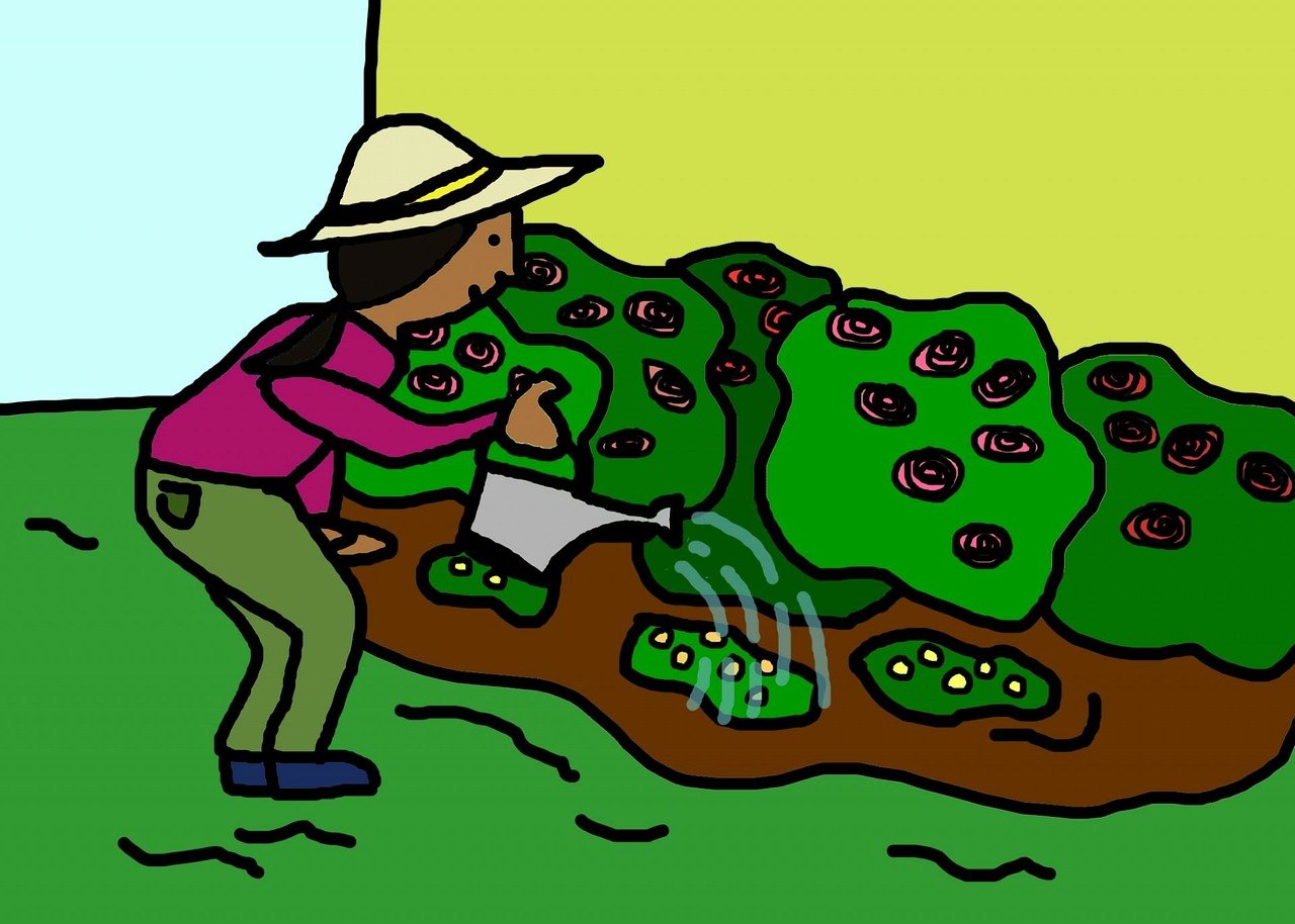 常识修改App，漫画爱好者的免费福音