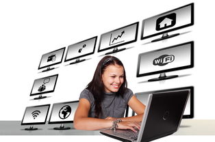 揭秘，破解软件站的真相与风险