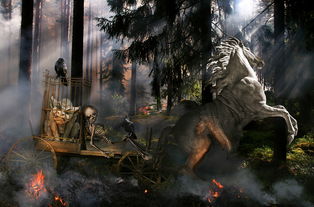 宝可梦剑盾图鉴，探索伽勒尔地区的秘密