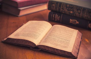 梁志超他奶，网络流行语背后的文化现象