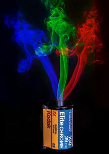 毒蛇电影院，电影中的蛇类角色与象征意义