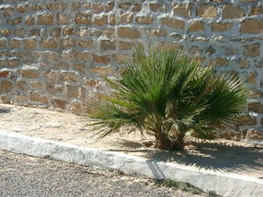 呼和浩特疫情动态，了解最新新闻与防控措施