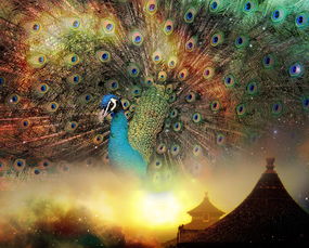 信鸽，中国传统文化中的空中使者