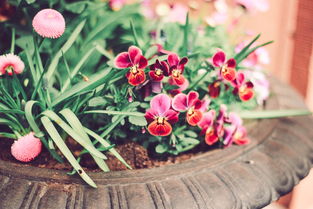 益阳昨日新闻回顾，城市动态与生活点滴