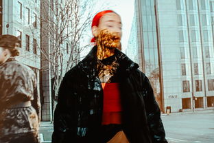 探索最新中文字幕电影，视觉盛宴与文化交融